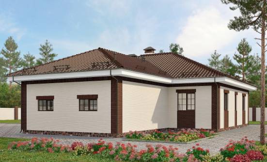 160-015-П Проект одноэтажного дома, гараж, классический коттедж из бризолита Грозный | Проекты одноэтажных домов от House Expert